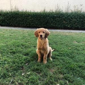 Meet your Posher, Miguel